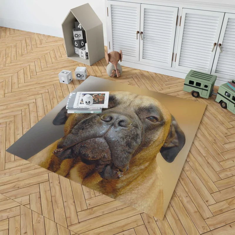 Muzzle Magic in Blur: Bullmastiff Quartet Floor Rug 1