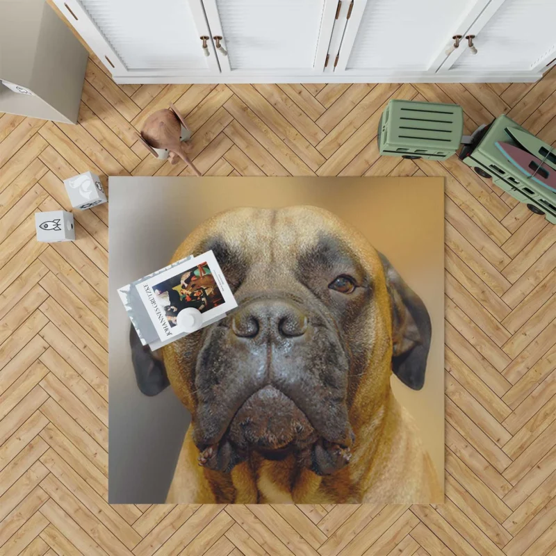 Muzzle Magic in Blur: Bullmastiff Quartet Floor Rug