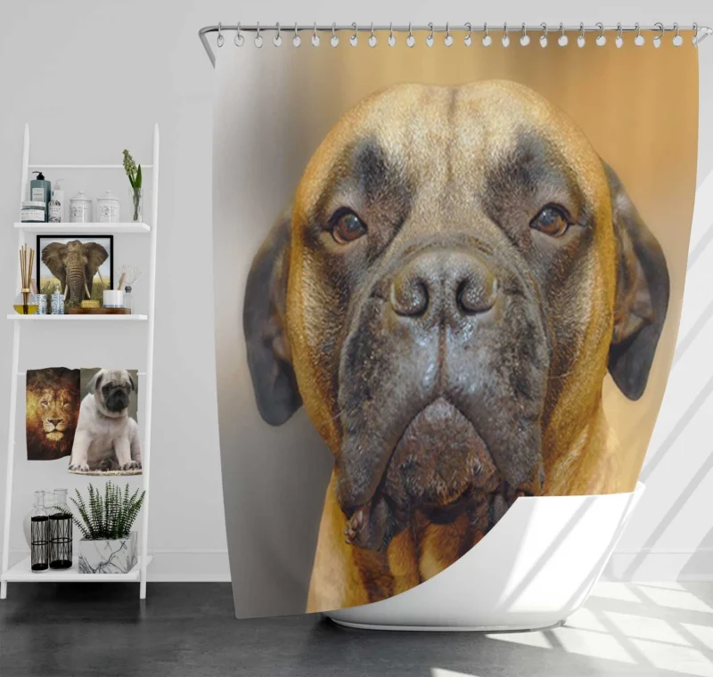 Muzzle Magic in Blur: Bullmastiff Quartet Shower Curtain