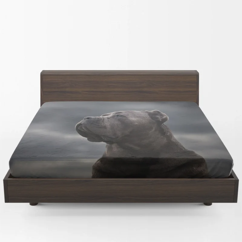 Muzzle Mystery: Cane Corso Quartet Fitted Sheet 1