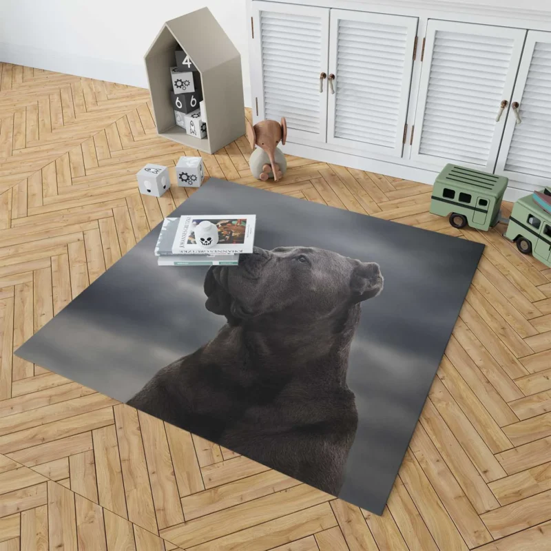 Muzzle Mystery: Cane Corso Quartet Floor Rug 1