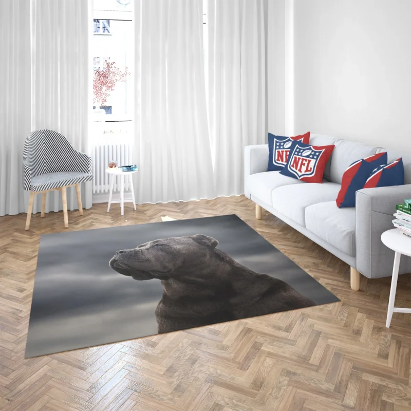 Muzzle Mystery: Cane Corso Quartet Floor Rug 2