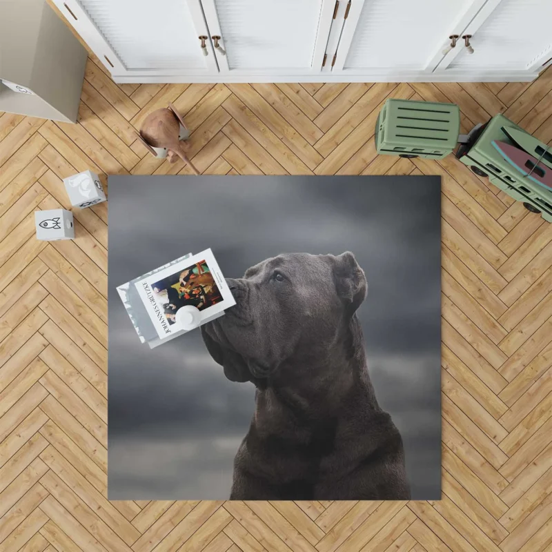 Muzzle Mystery: Cane Corso Quartet Floor Rug