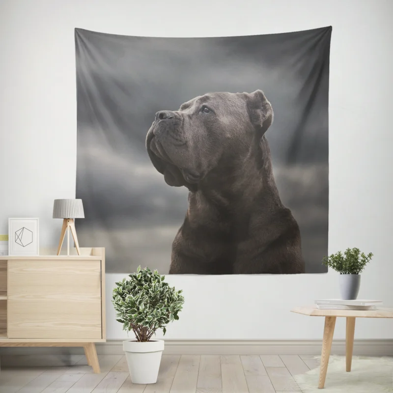 Muzzle Mystery  Cane Corso Quartet Wall Tapestry