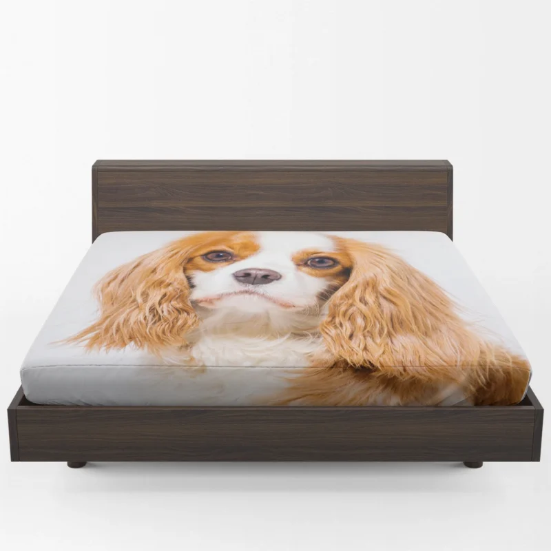 Muzzle and Puppy: Cavalier King Charles Spaniels Fitted Sheet 1