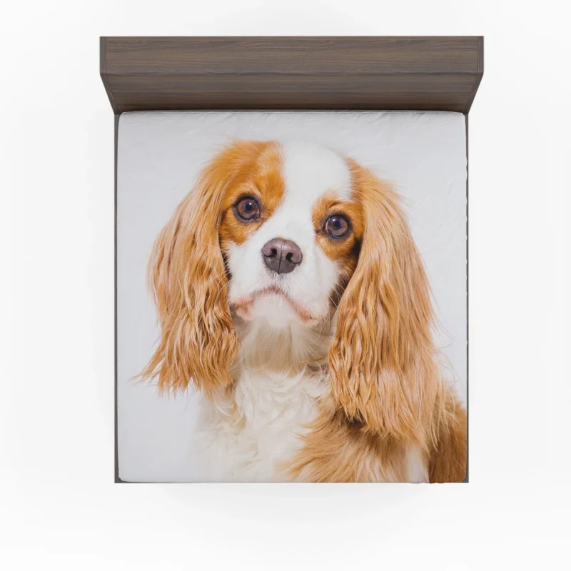 Muzzle and Puppy: Cavalier King Charles Spaniels Fitted Sheet