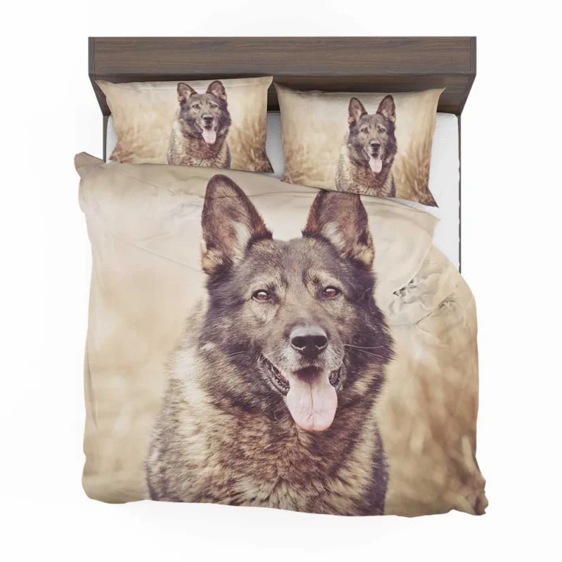 Mystical and Free-Spirited: Wolfdog Quartet Bedding Set 1