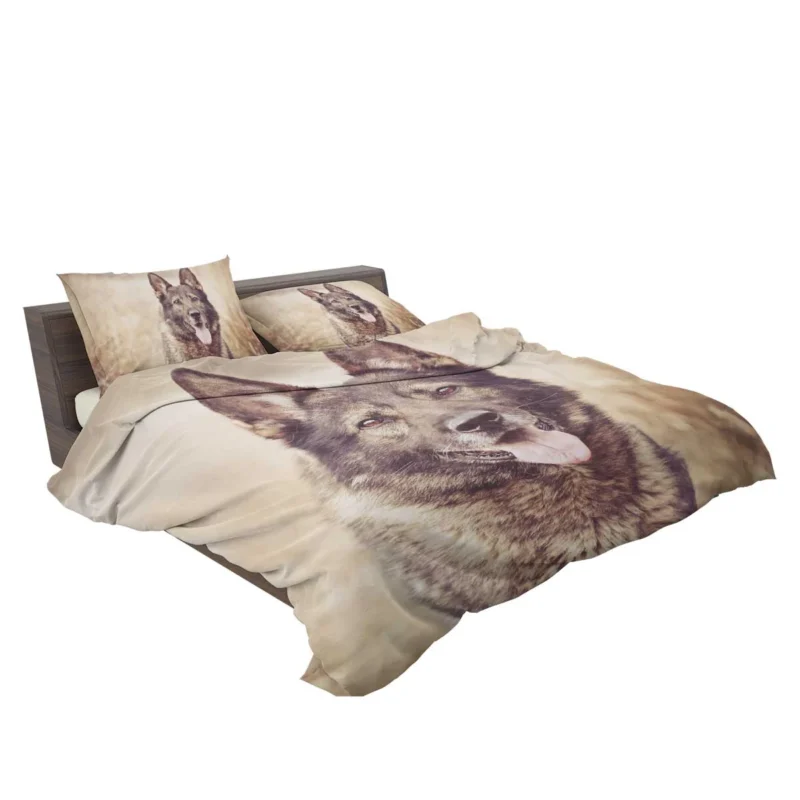 Mystical and Free-Spirited: Wolfdog Quartet Bedding Set 2