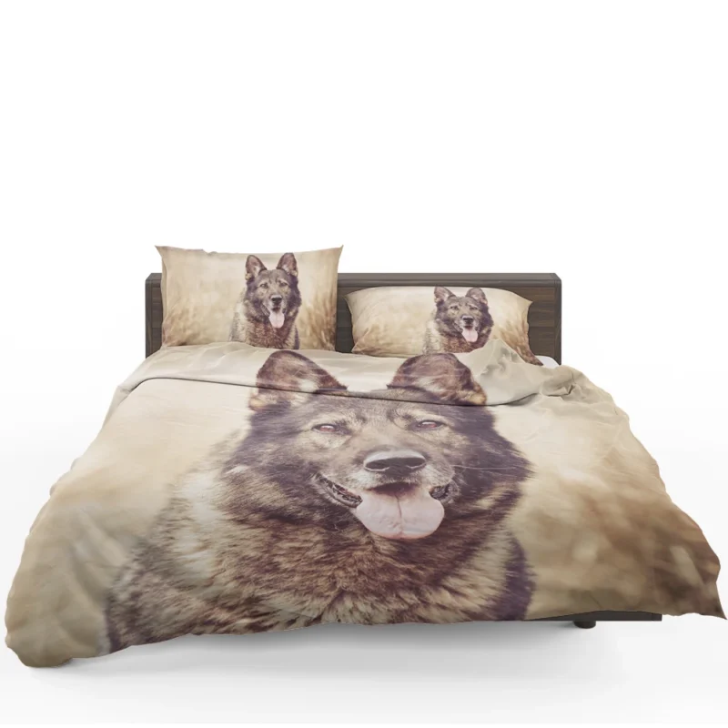 Mystical and Free-Spirited: Wolfdog Quartet Bedding Set