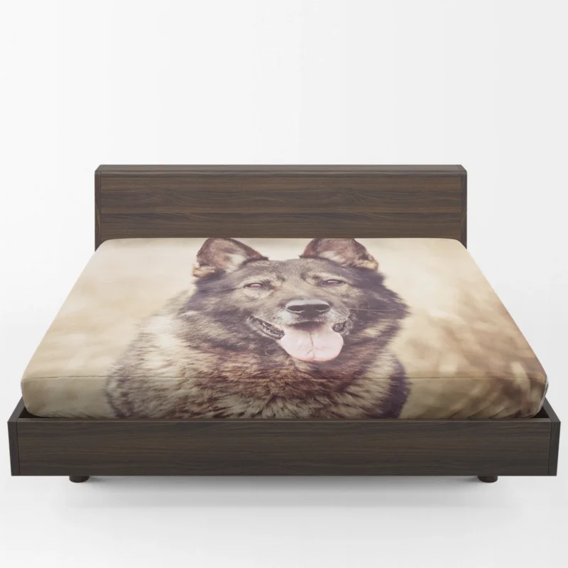 Mystical and Free-Spirited: Wolfdog Quartet Fitted Sheet 1