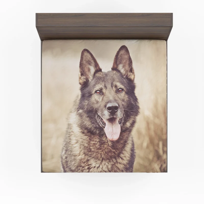 Mystical and Free-Spirited: Wolfdog Quartet Fitted Sheet