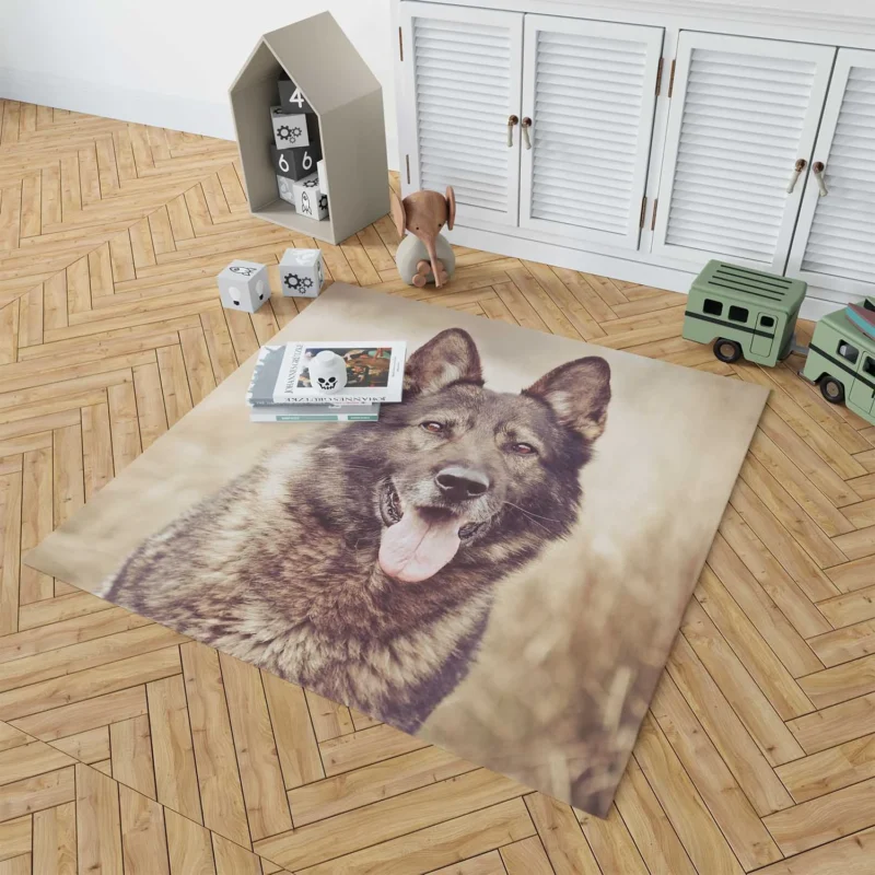 Mystical and Free-Spirited: Wolfdog Quartet Floor Rug 1