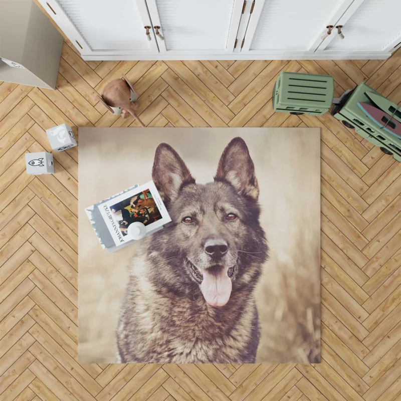 Mystical and Free-Spirited: Wolfdog Quartet Floor Rug