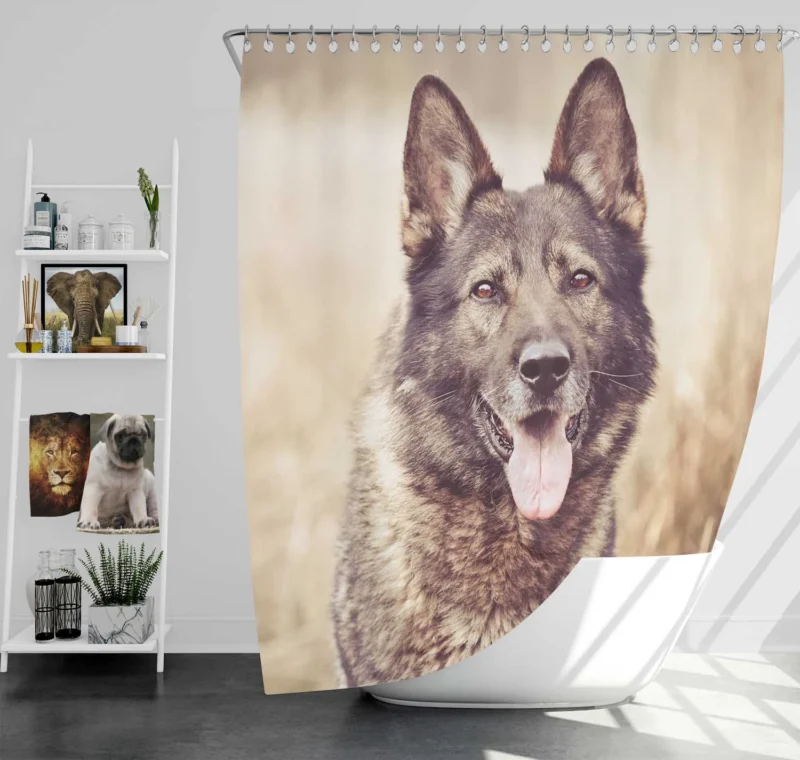 Mystical and Free-Spirited: Wolfdog Quartet Shower Curtain