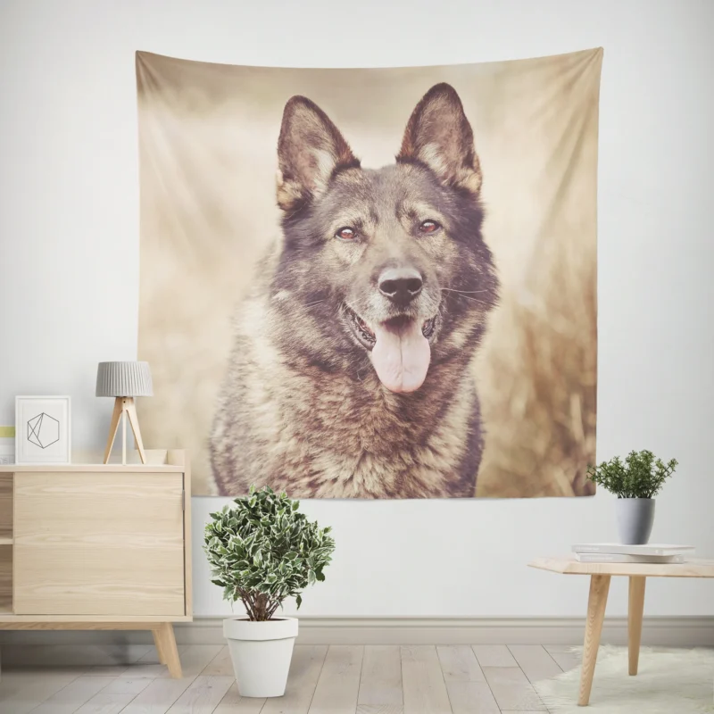 Mystical and Free-Spirited  Wolfdog Quartet Wall Tapestry