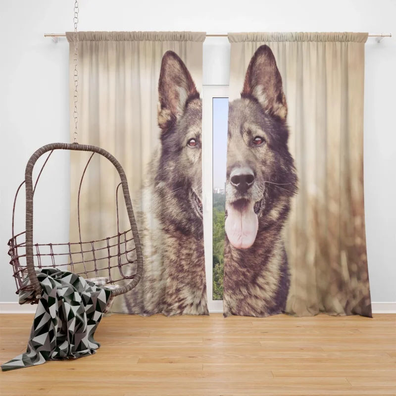 Mystical and Free-Spirited: Wolfdog Quartet Window Curtain