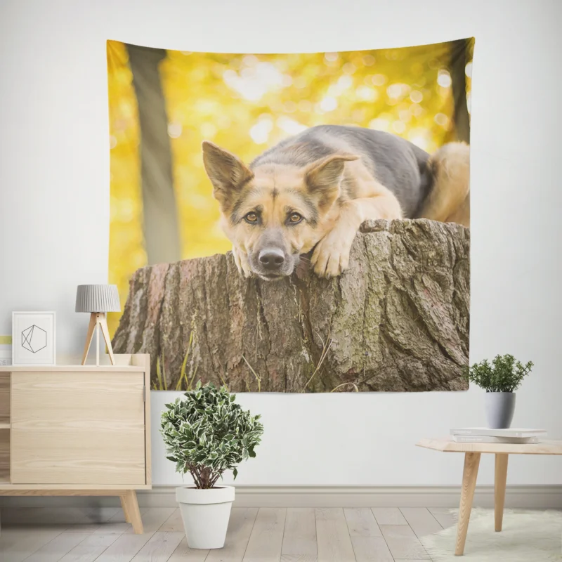 Nature Duo  German Shepherd Bokeh Stump Wall Tapestry