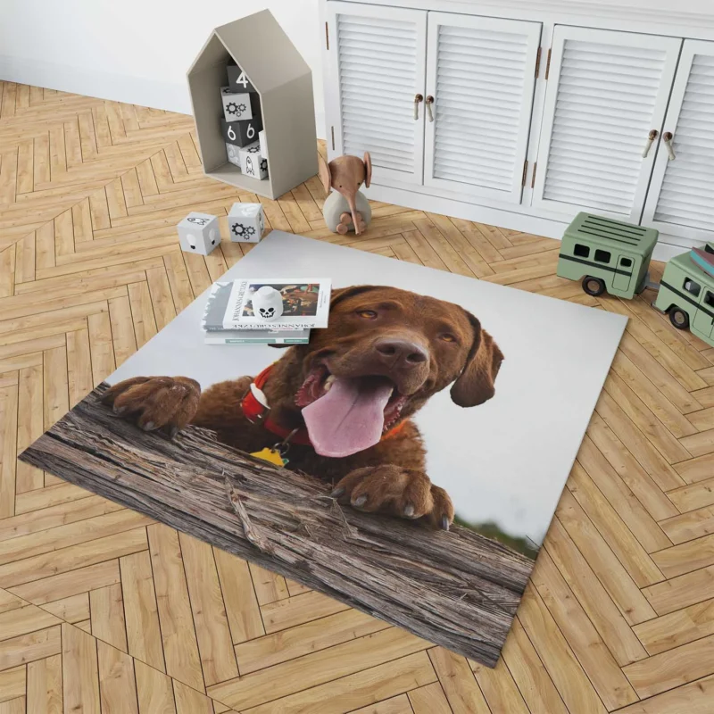 Nature Elegance Dog: Labrador Quartet Floor Rug 1