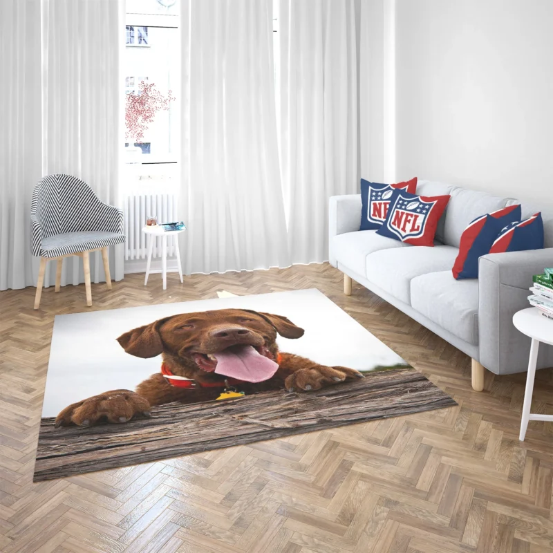 Nature Elegance Dog: Labrador Quartet Floor Rug 2