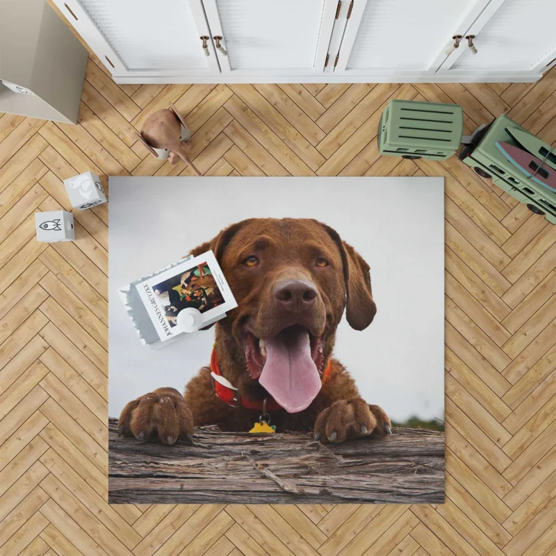 Nature Elegance Dog: Labrador Quartet Floor Rug