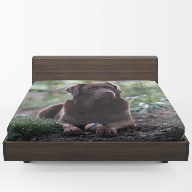 Nature Elegance: Labrador Quartet in the Forest Fitted Sheet 1