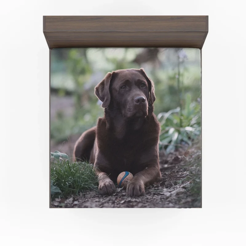 Nature Elegance: Labrador Quartet in the Forest Fitted Sheet