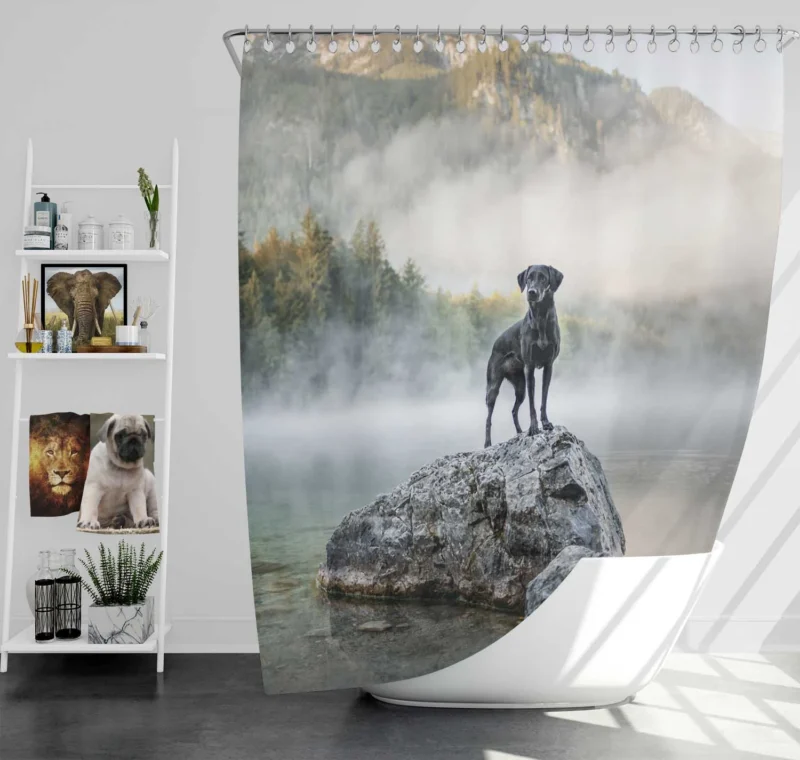 Nature Elegance Unleashed: Labrador Quartet Shower Curtain