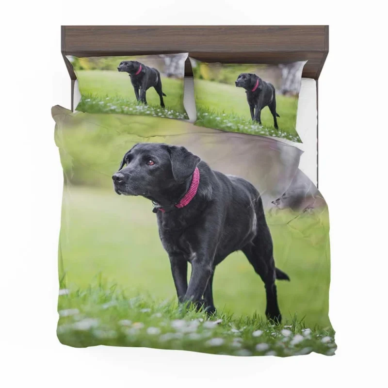 Nature Quartet: Labrador Depth of Field Bedding Set 1