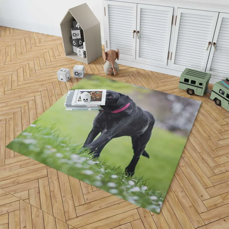 Nature Quartet: Labrador Depth of Field Floor Rug 1