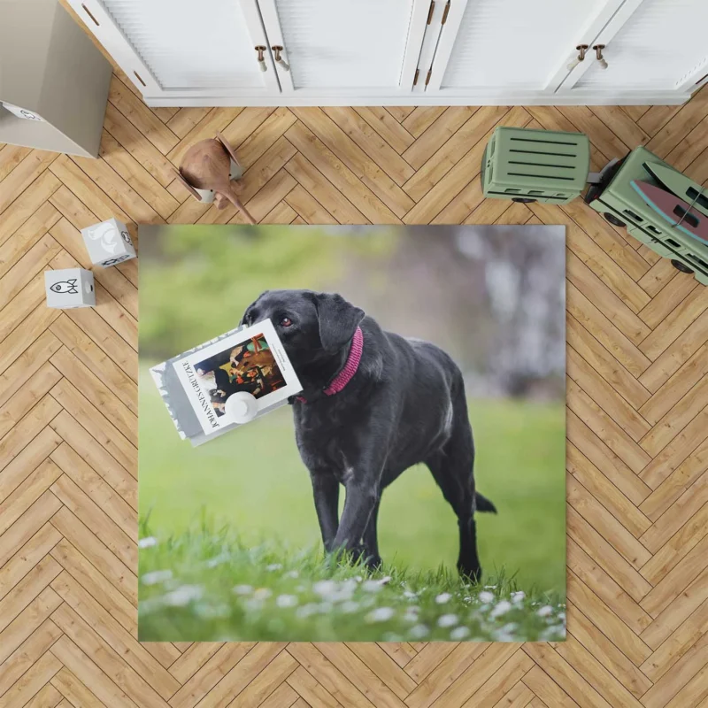 Nature Quartet: Labrador Depth of Field Floor Rug