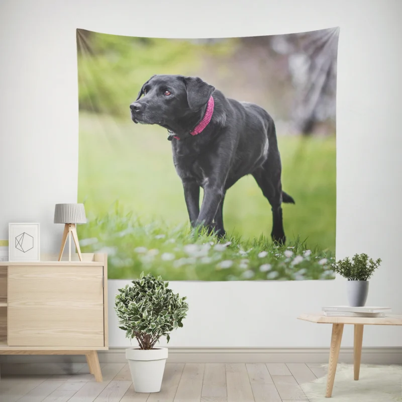 Nature Quartet  Labrador Depth of Field Wall Tapestry