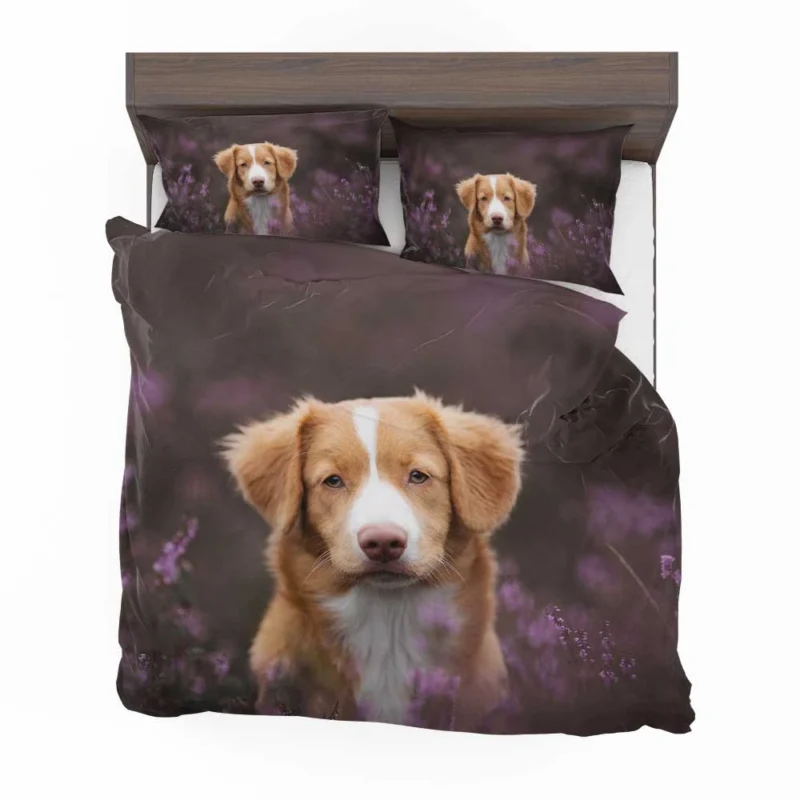 Newfoundland Quartet: Stalwart Canine Majesty Bedding Set 1