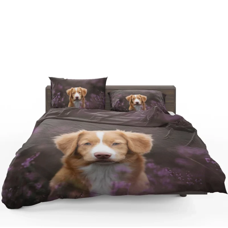 Newfoundland Quartet: Stalwart Canine Majesty Bedding Set