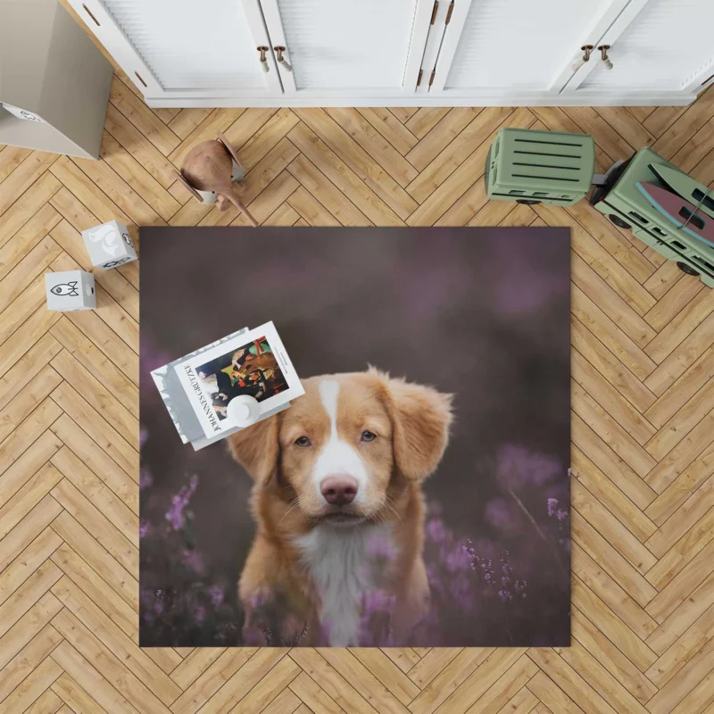 Newfoundland Quartet: Stalwart Canine Majesty Floor Rug