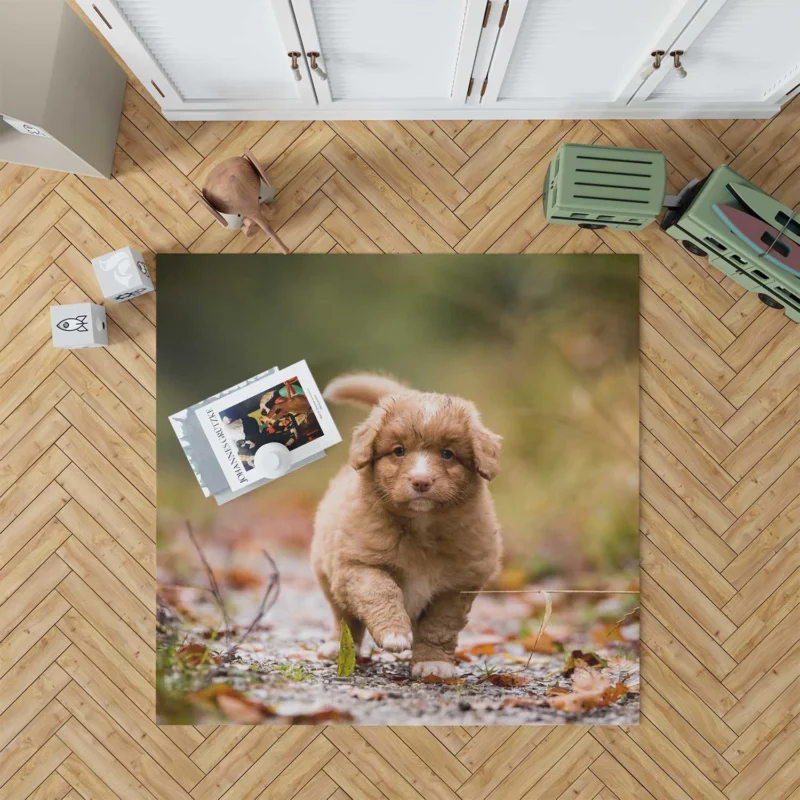 Nova Scotia Duck Tolling Puppy Quartet Floor Rug