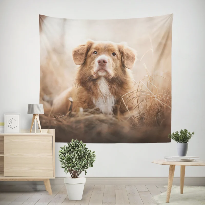 Nova Scotia Duck Tolling Retriever Quartet Dog Wall Tapestry