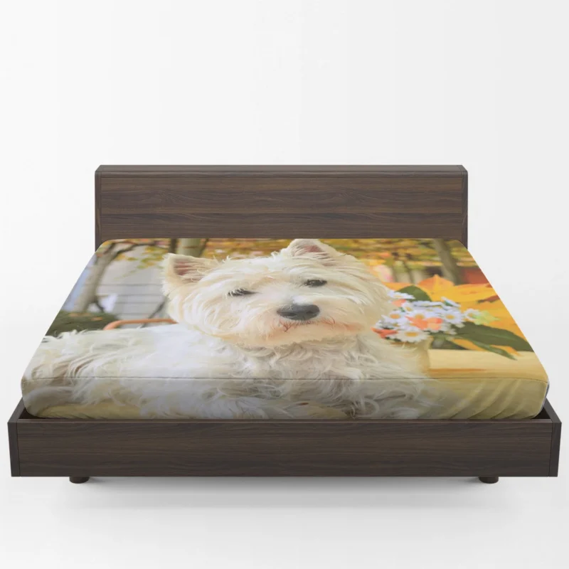 Overflowing Cute: West Highland White Terrier Quartet Fitted Sheet 1