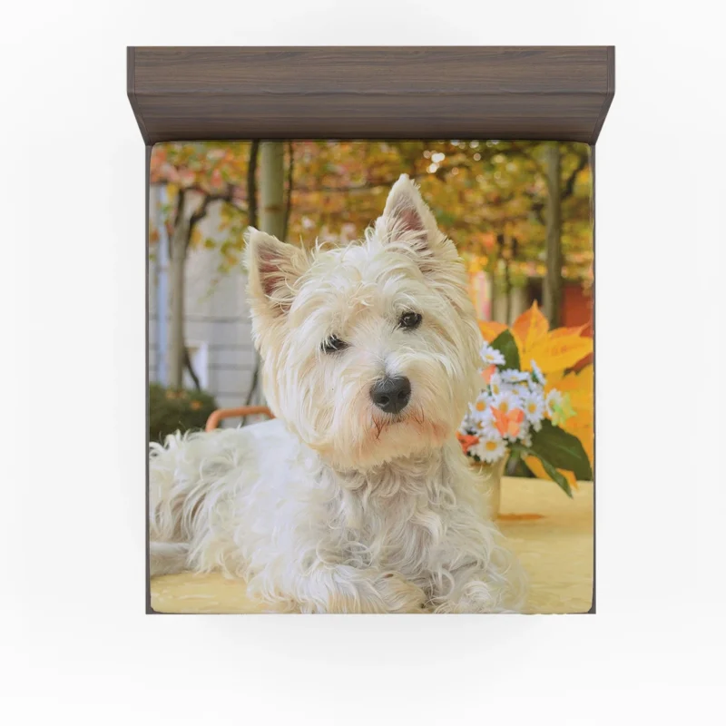 Overflowing Cute: West Highland White Terrier Quartet Fitted Sheet 1