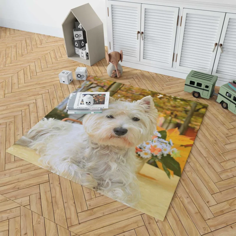 Overflowing Cute: West Highland White Terrier Quartet Floor Rug 1