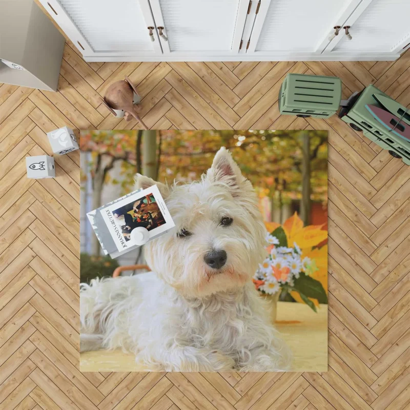 Overflowing Cute: West Highland White Terrier Quartet Floor Rug