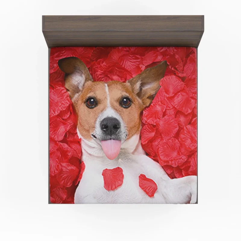 Petal Beauty: Jack Russell Terriers in Quartet Fitted Sheet