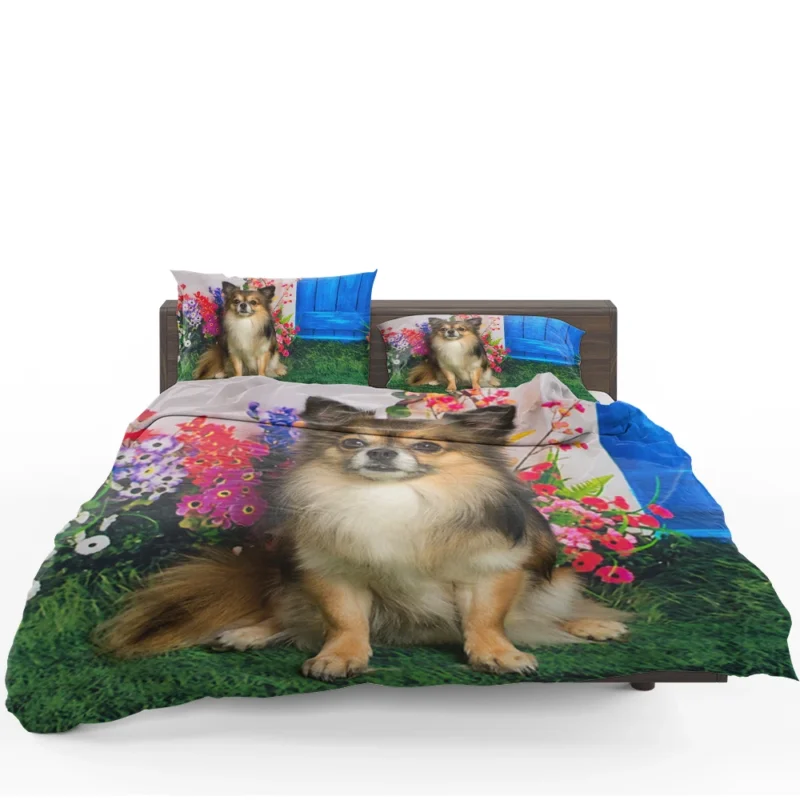 Petite and Precious: Chihuahua Quartet Bedding Set