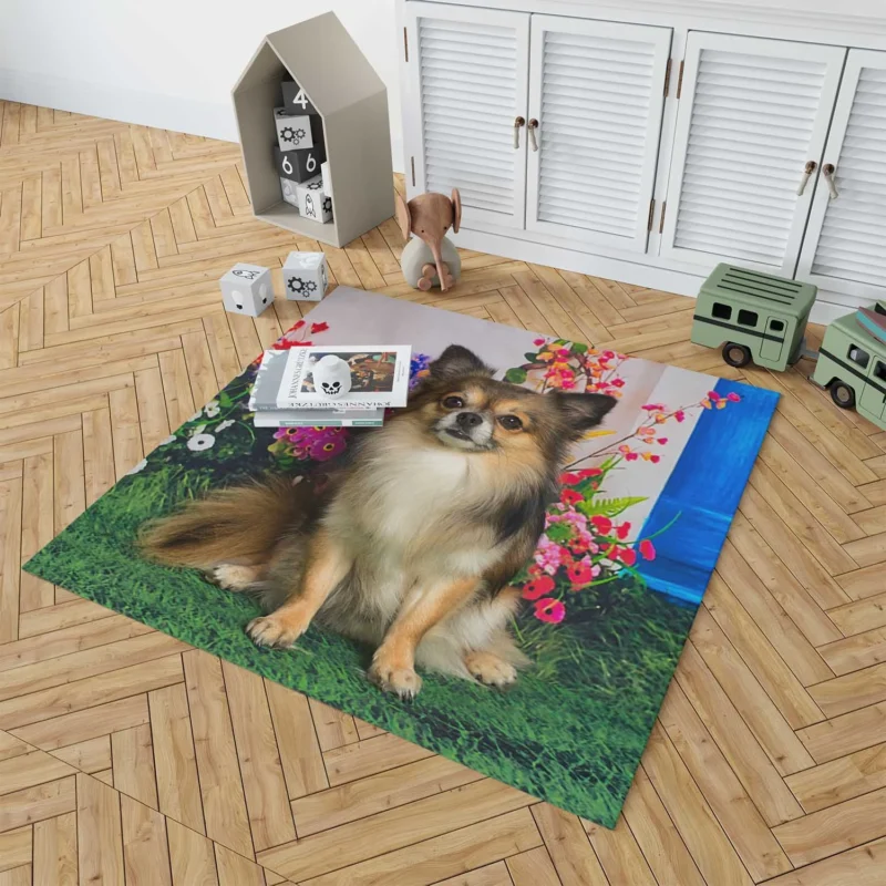 Petite and Precious: Chihuahua Quartet Floor Rug 1