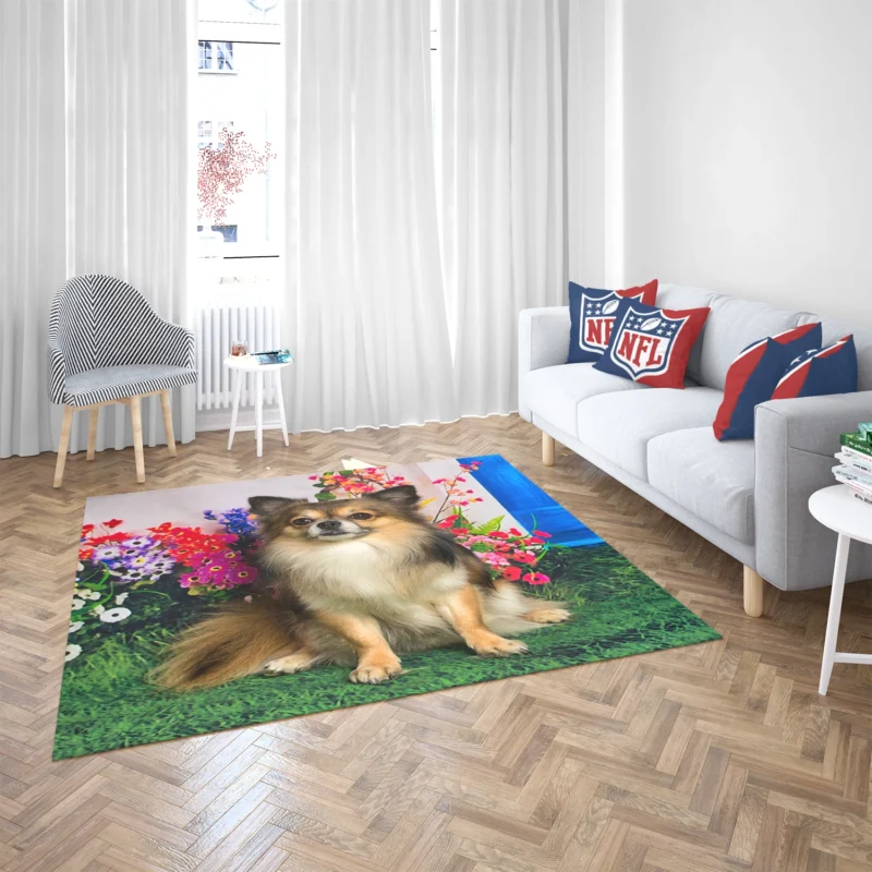 Petite and Precious: Chihuahua Quartet Floor Rug 2