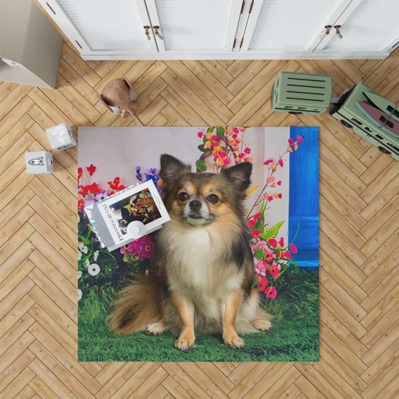 Petite and Precious: Chihuahua Quartet Floor Rug