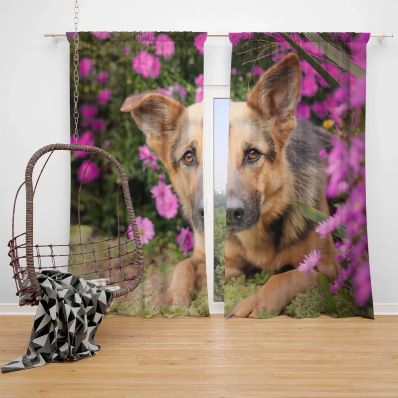 Pink Daisy Beauty: German Shepherd Puppies Window Curtain