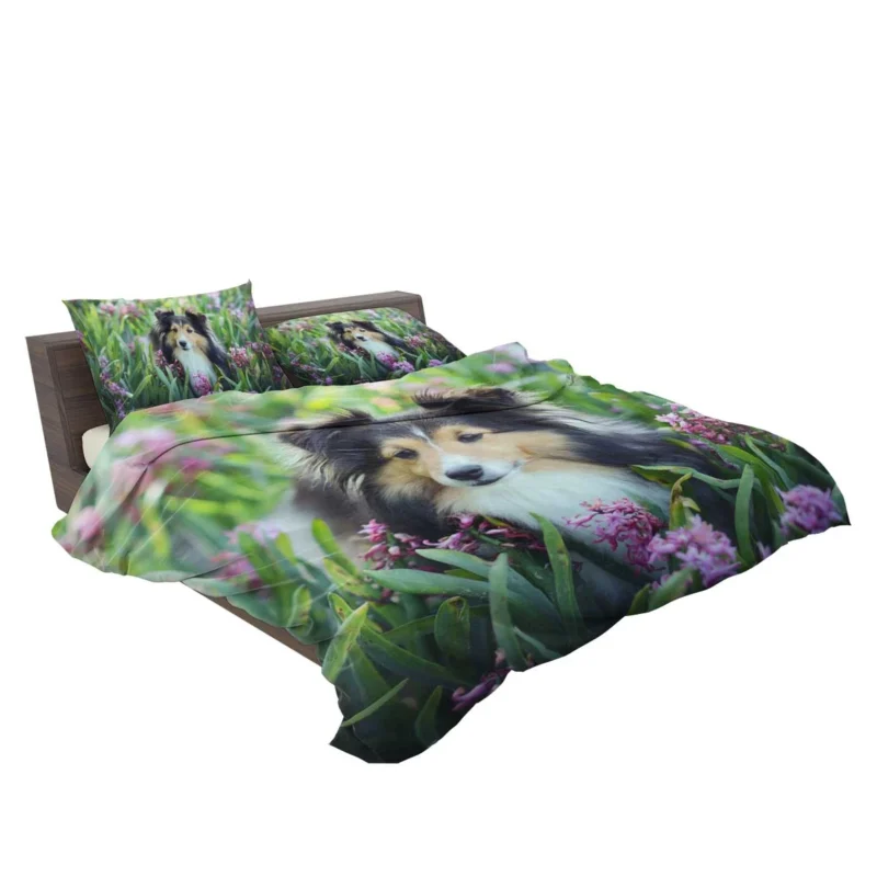 Pink Floral Splendor: Shetland Sheepdog Quartet Bedding Set 2