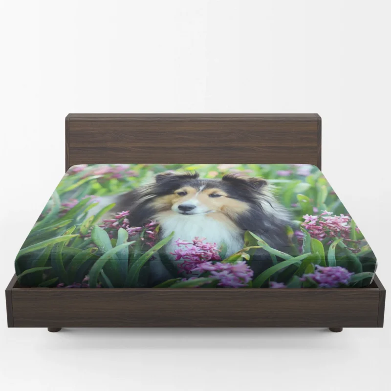 Pink Floral Splendor: Shetland Sheepdog Quartet Fitted Sheet 1