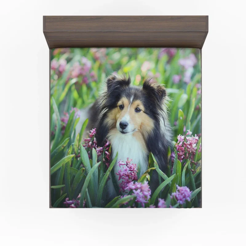 Pink Floral Splendor: Shetland Sheepdog Quartet Fitted Sheet