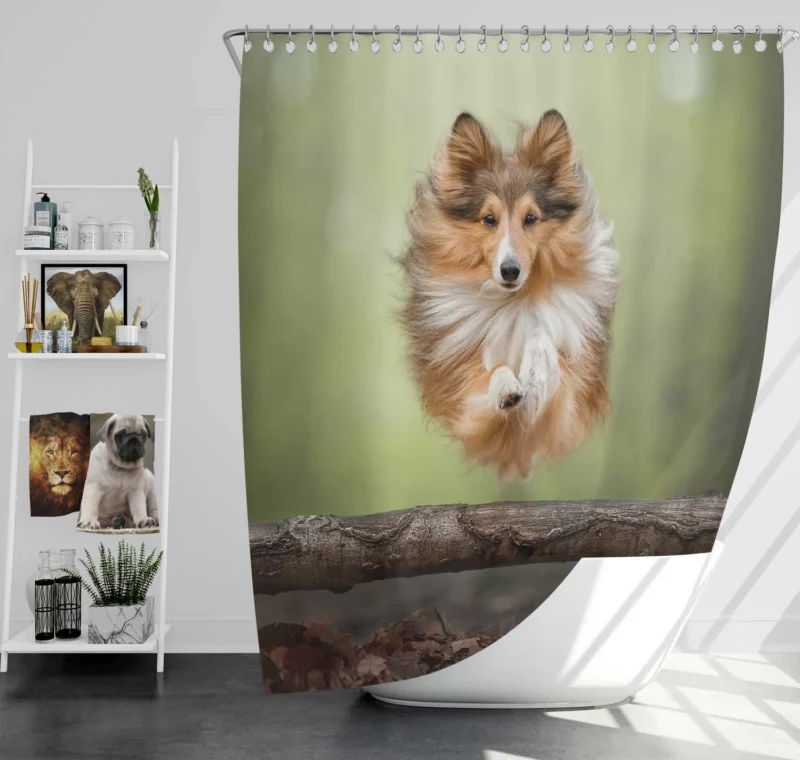 Pink Flower Bliss: Shetland Sheepdog Quartet Shower Curtain